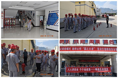 fileUpload - 2024-06-17T080955.975.jpg